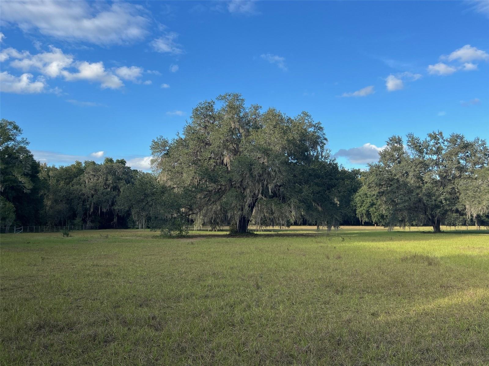 Image 8 of 14 For 4160 127th Place