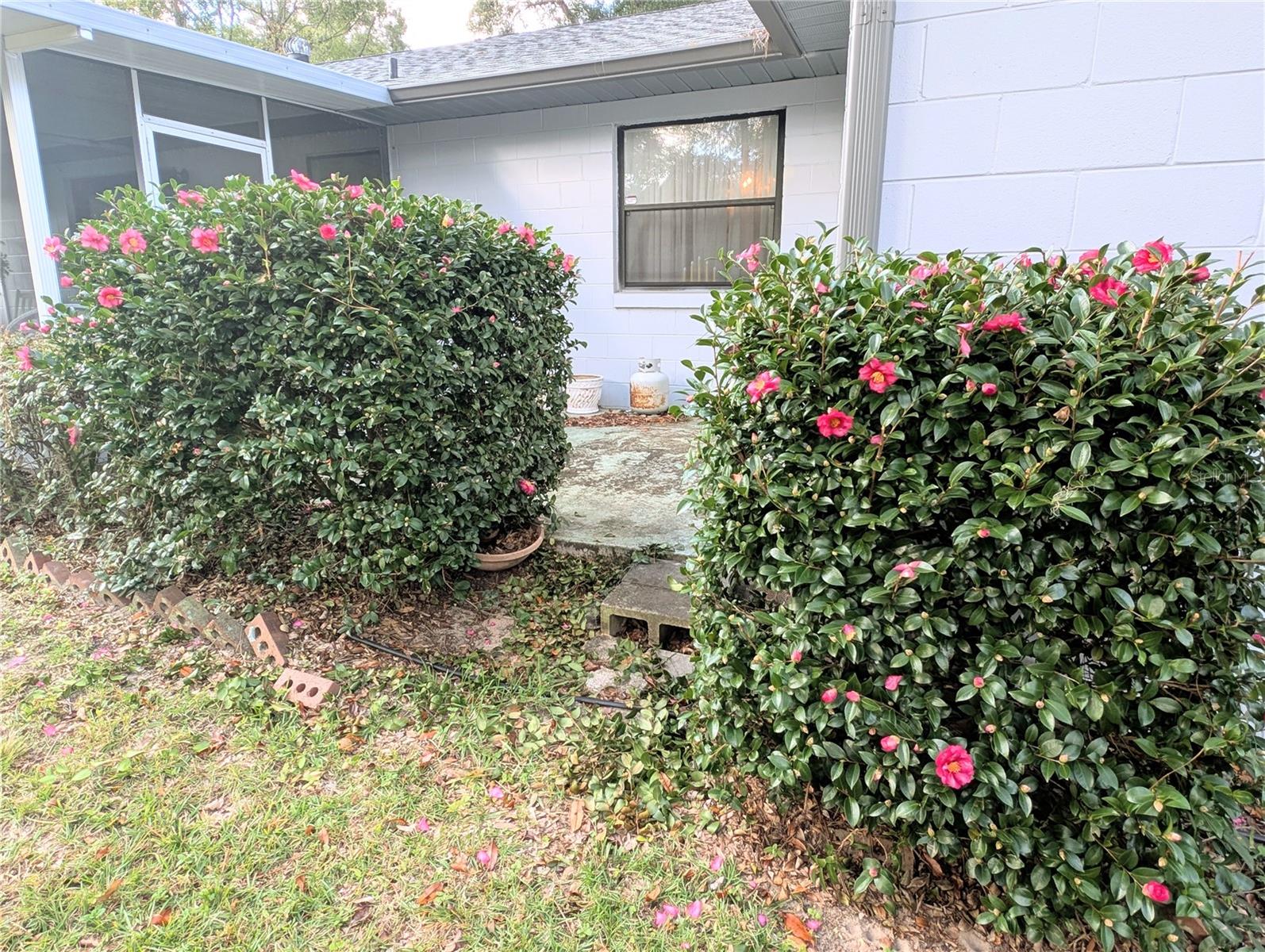 Image 21 of 26 For 2458 48th Street