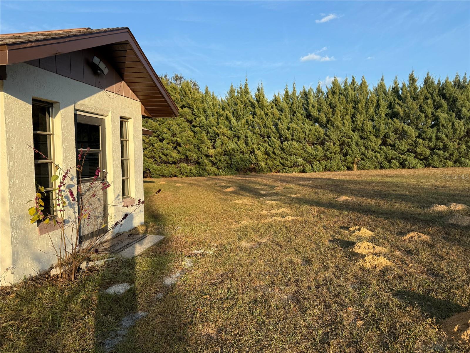 Image 25 of 28 For 540 Bismark Street