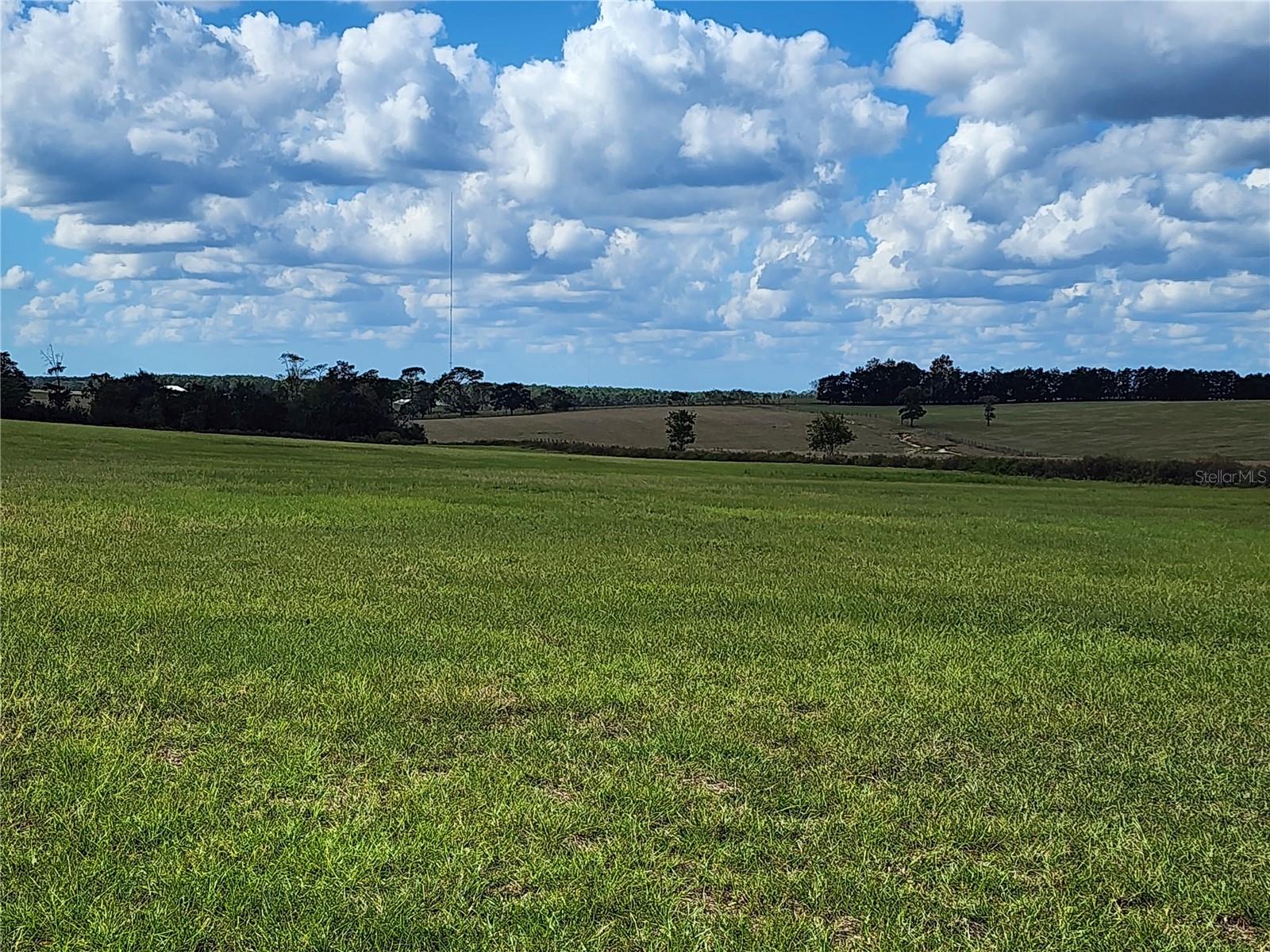 Details for Tbd 150th Avenue, MORRISTON, FL 32668