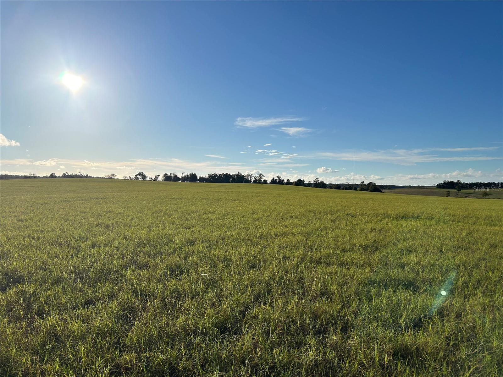 Image 5 of 10 For Tbd 150th Avenue