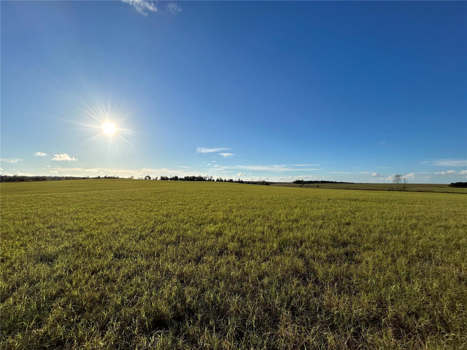 Image 6 of 10 For Tbd 150th Avenue