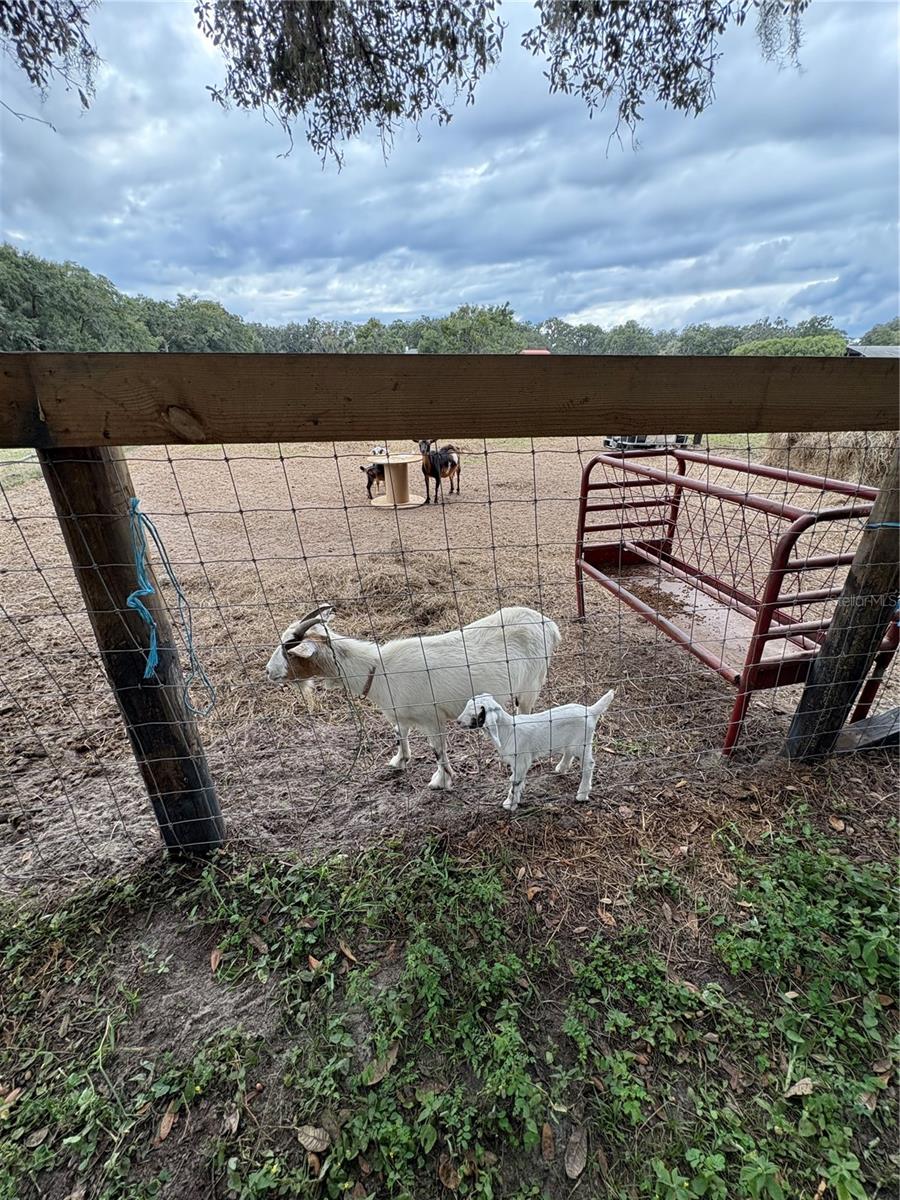 Image 20 of 26 For 13676 Jacksonville Road