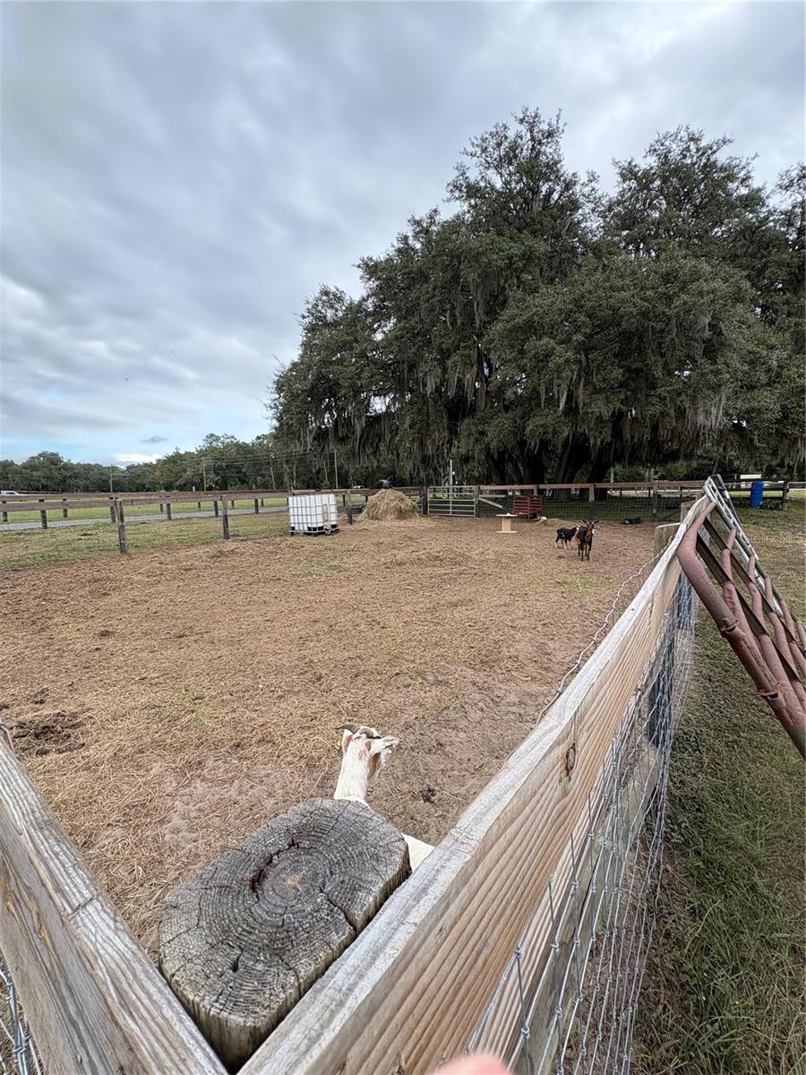 Image 22 of 26 For 13676 Jacksonville Road