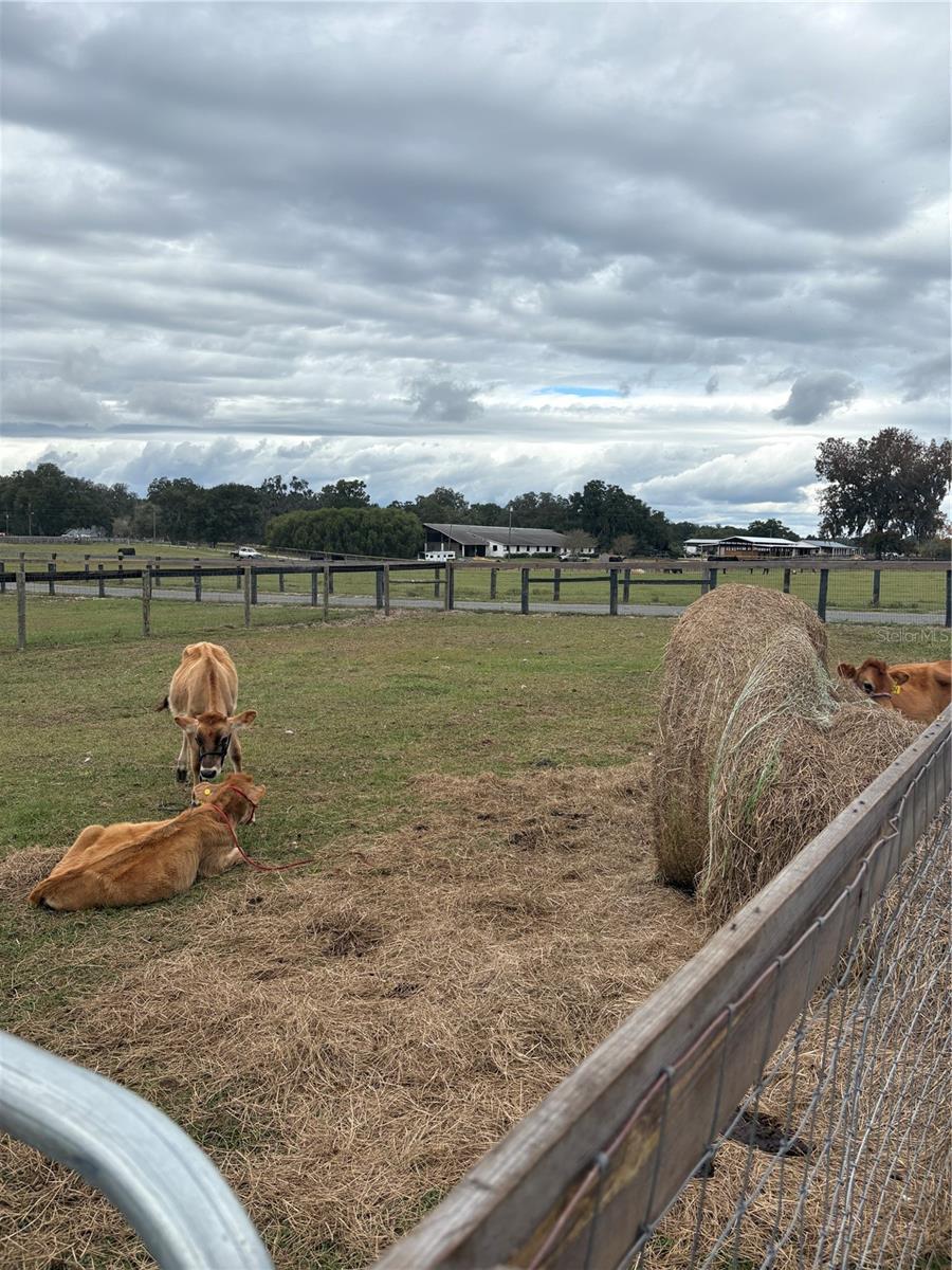 Image 23 of 26 For 13676 Jacksonville Road