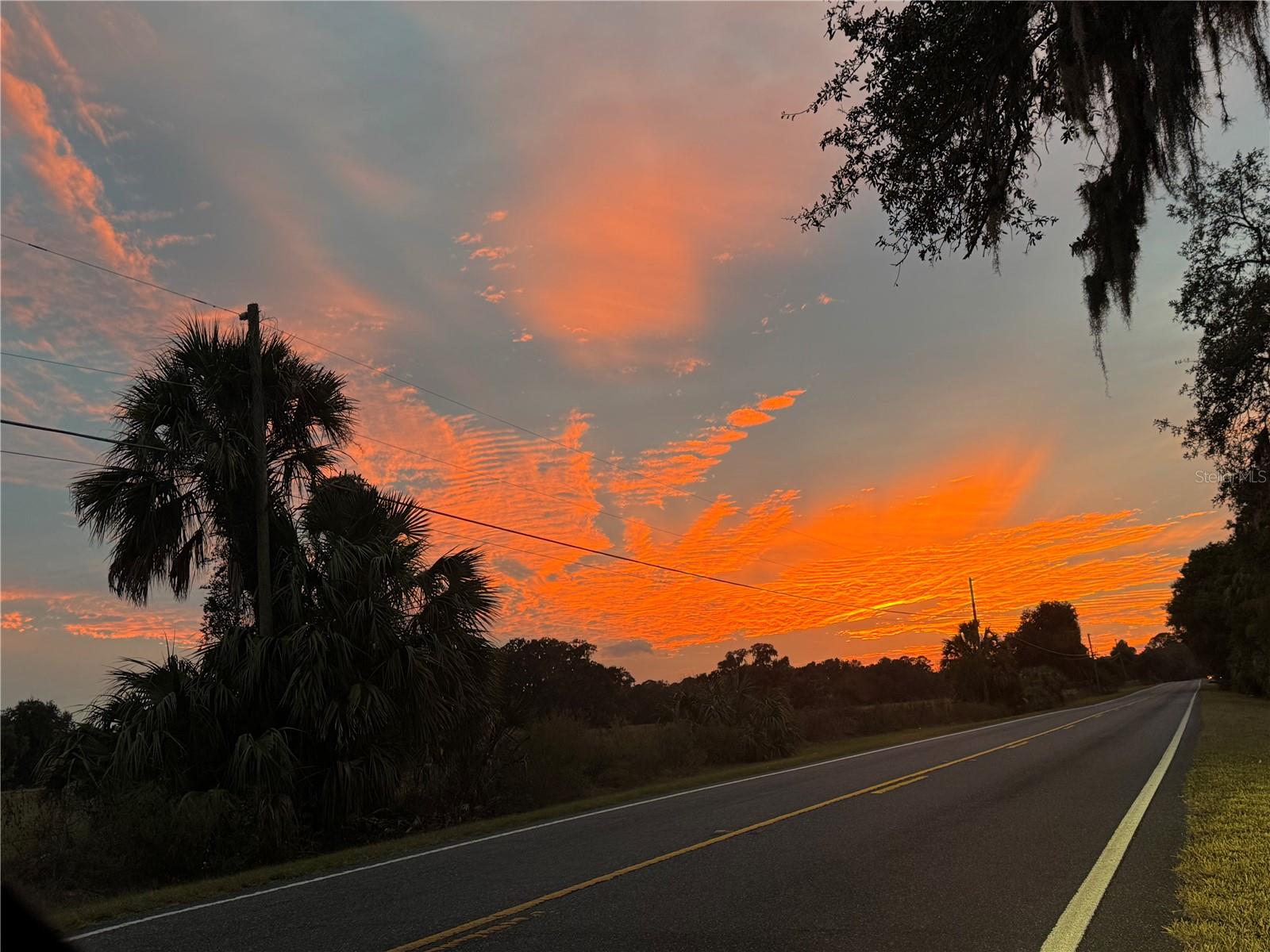 Image 9 of 9 For Lot 001 207th Circle