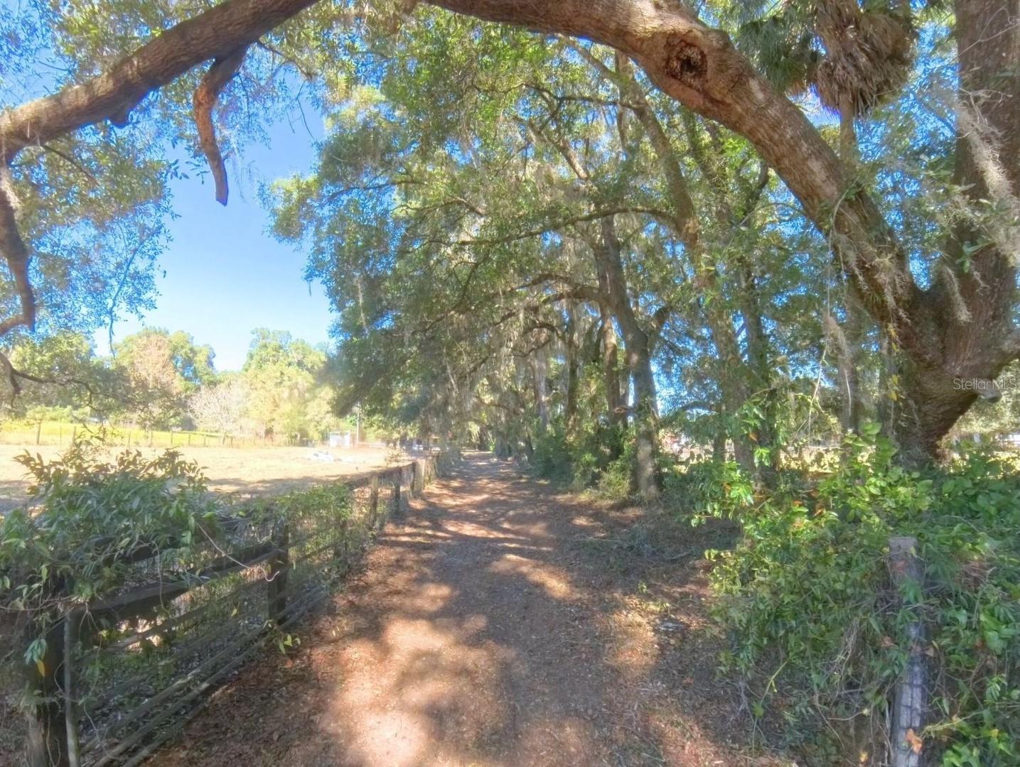 Image 60 of 82 For 4540 Highway 318