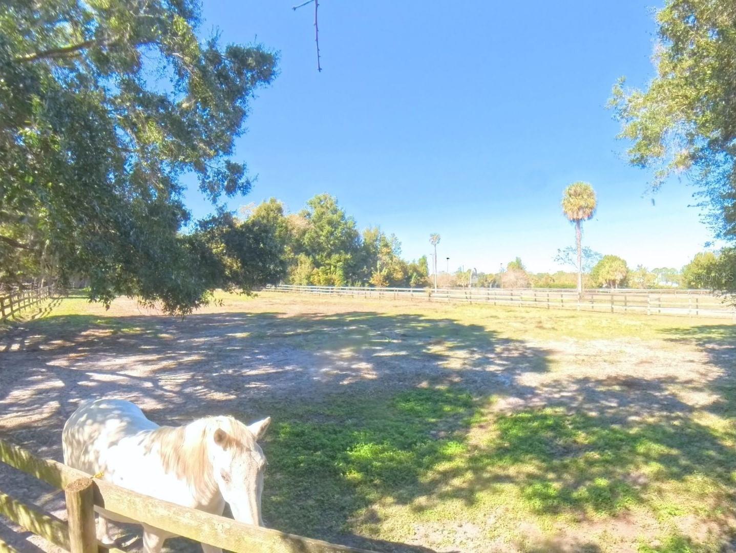 Image 69 of 82 For 4540 Highway 318