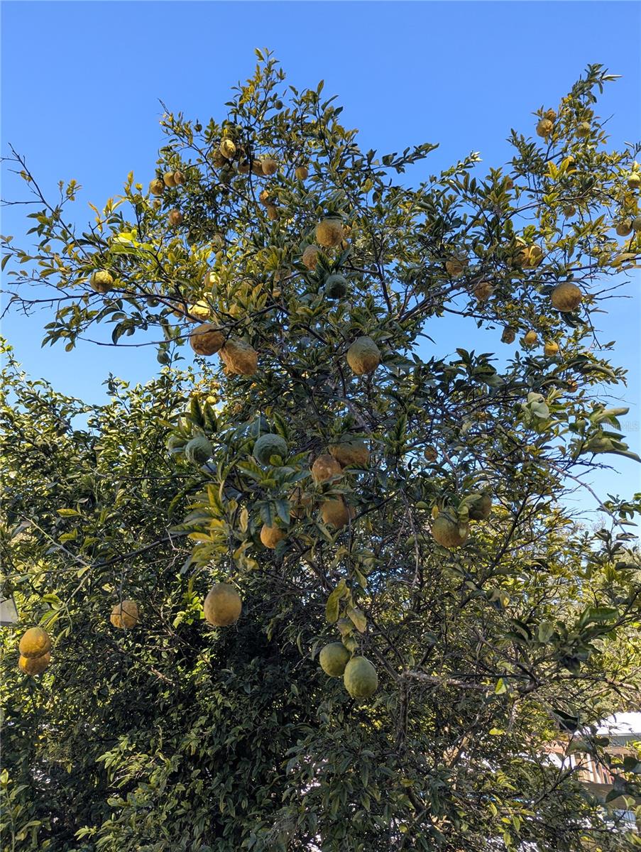 Image 36 of 41 For 397 902nd Street