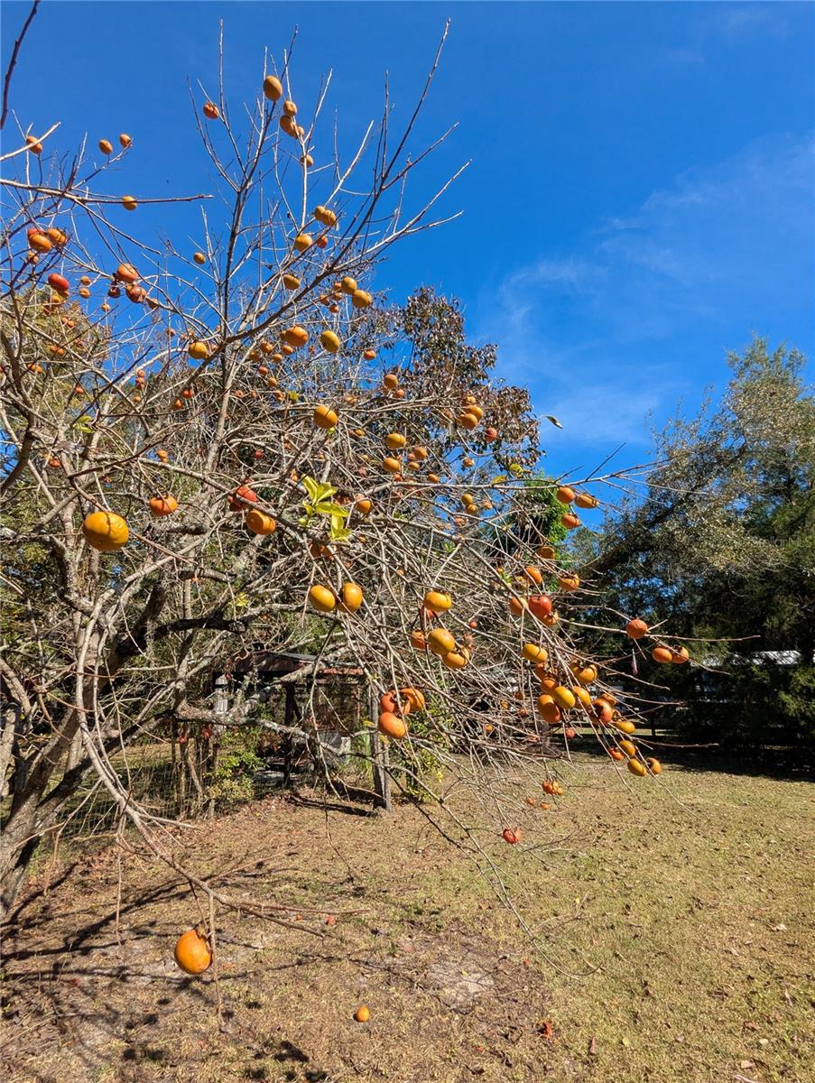 Image 37 of 41 For 397 902nd Street