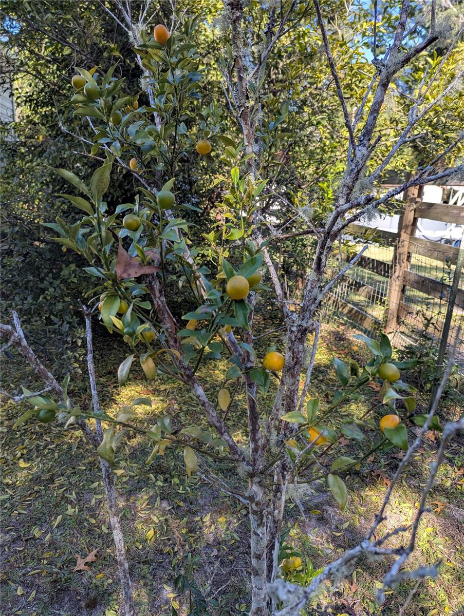 Image 38 of 41 For 397 902nd Street