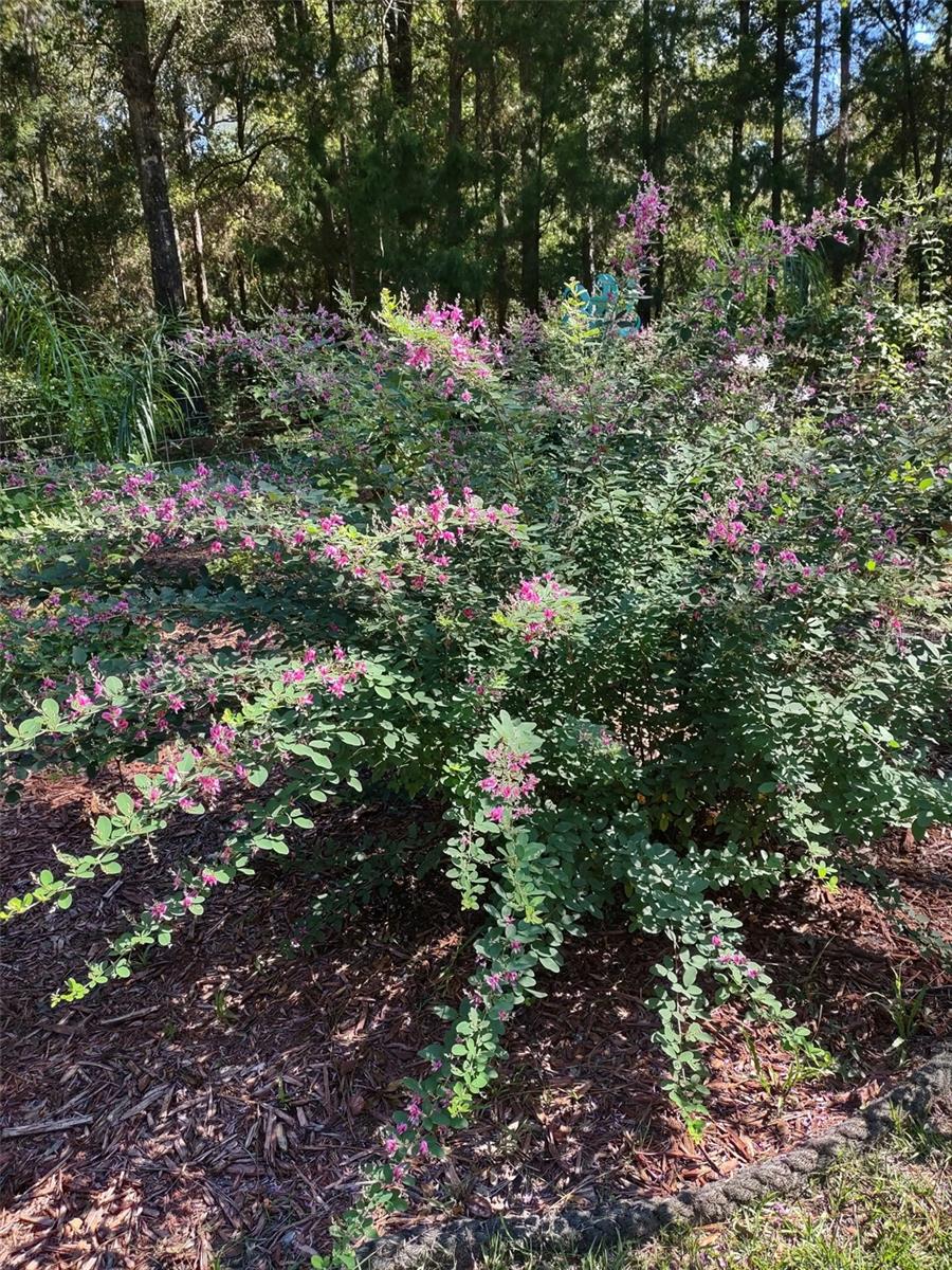 Image 43 of 50 For 21661 102nd Street Road