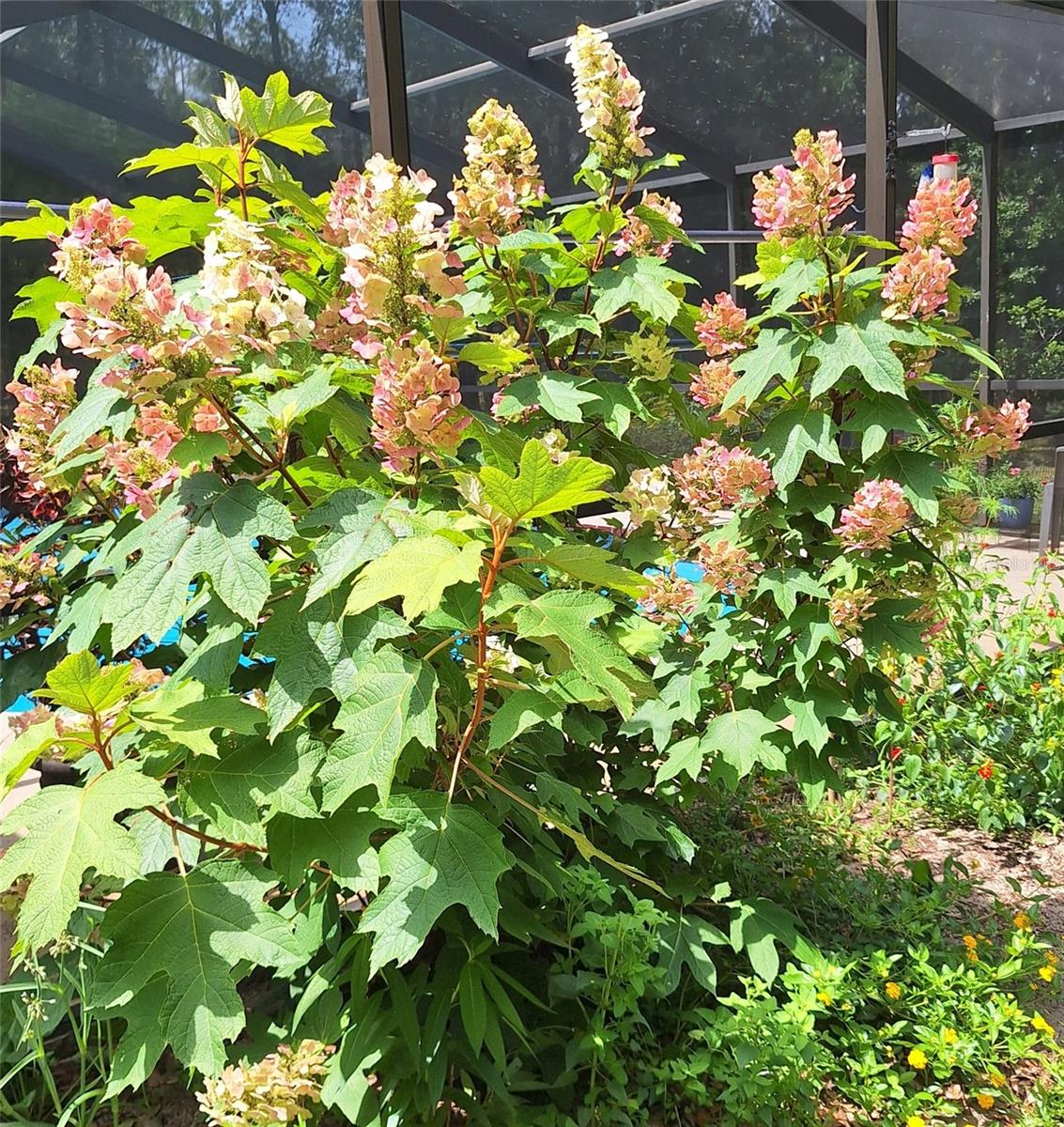 Image 44 of 50 For 21661 102nd Street Road