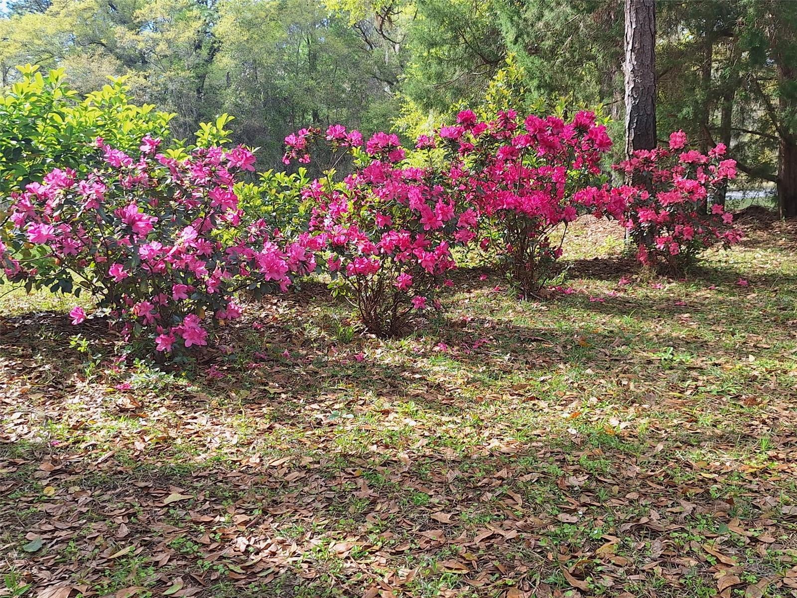 Image 45 of 50 For 21661 102nd Street Road