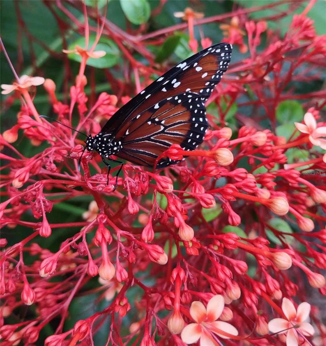 Image 47 of 50 For 21661 102nd Street Road