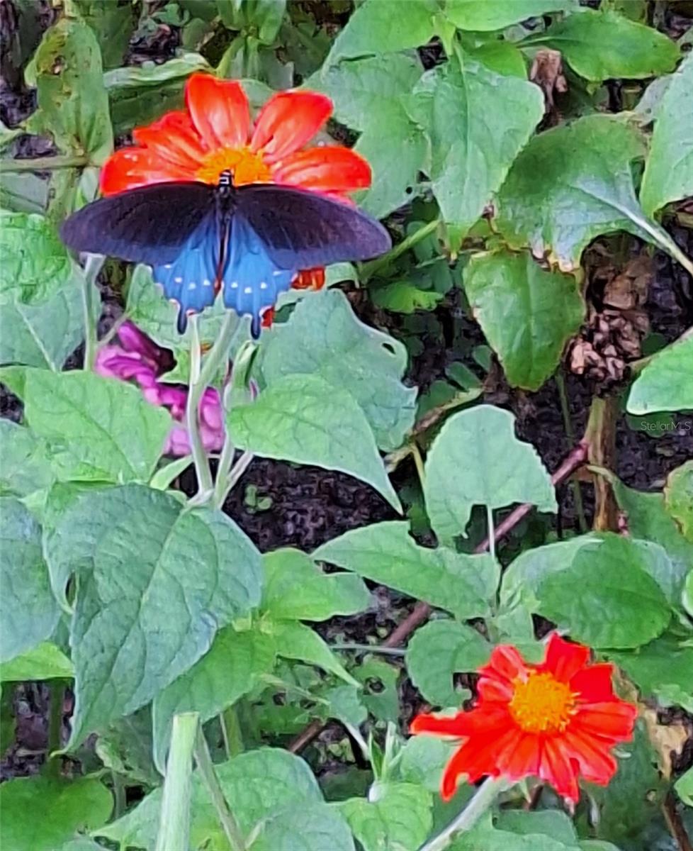 Image 50 of 50 For 21661 102nd Street Road