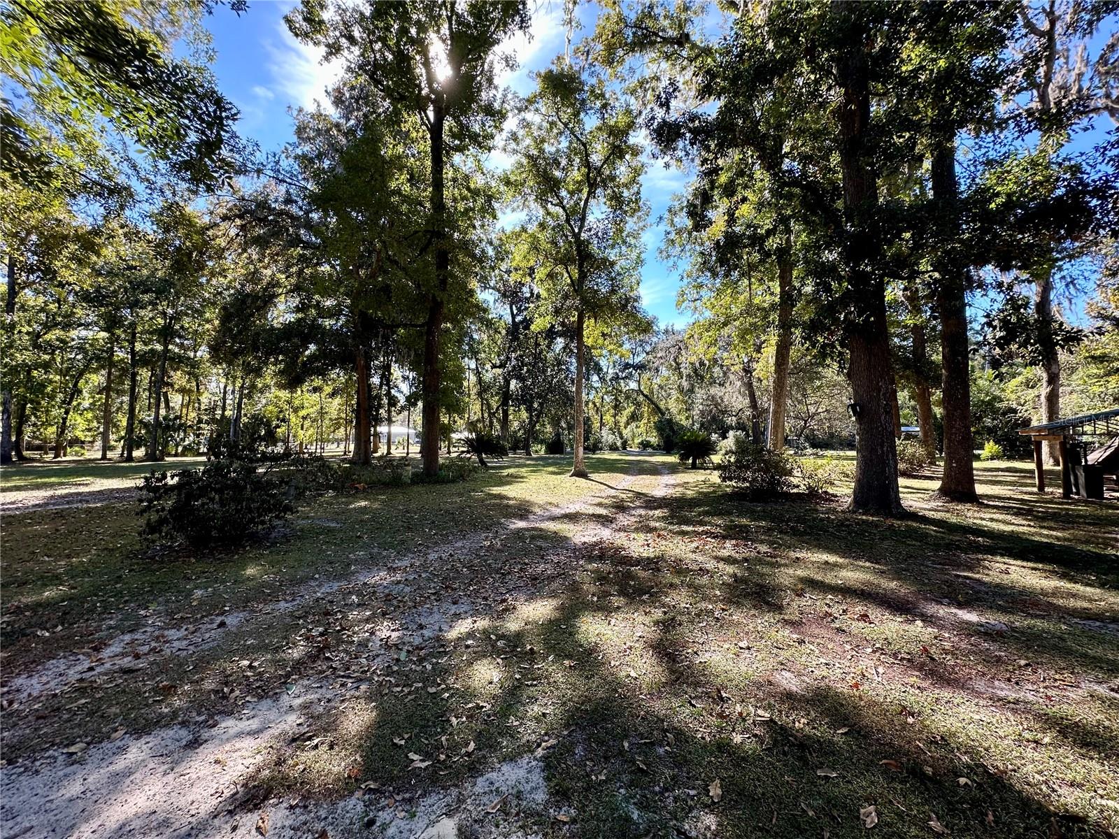 Image 33 of 51 For 9240 Carolina Way