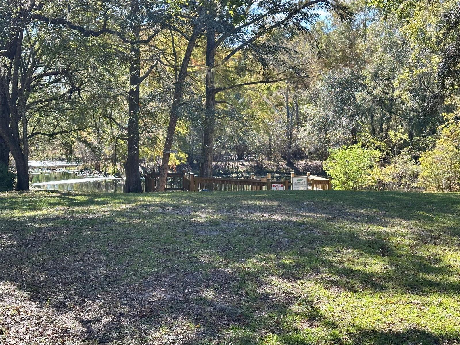 Image 42 of 51 For 9240 Carolina Way