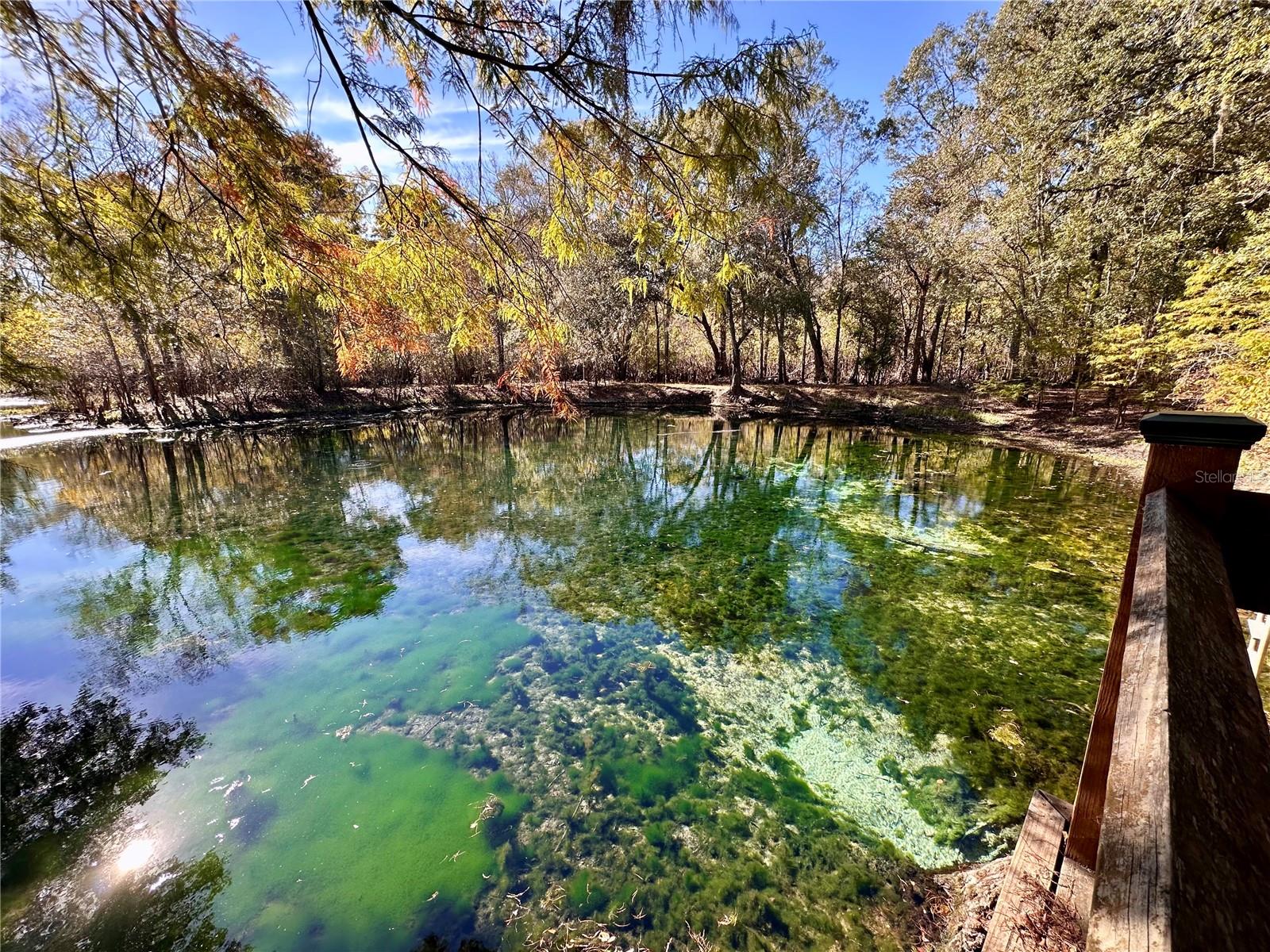 Image 44 of 51 For 9240 Carolina Way