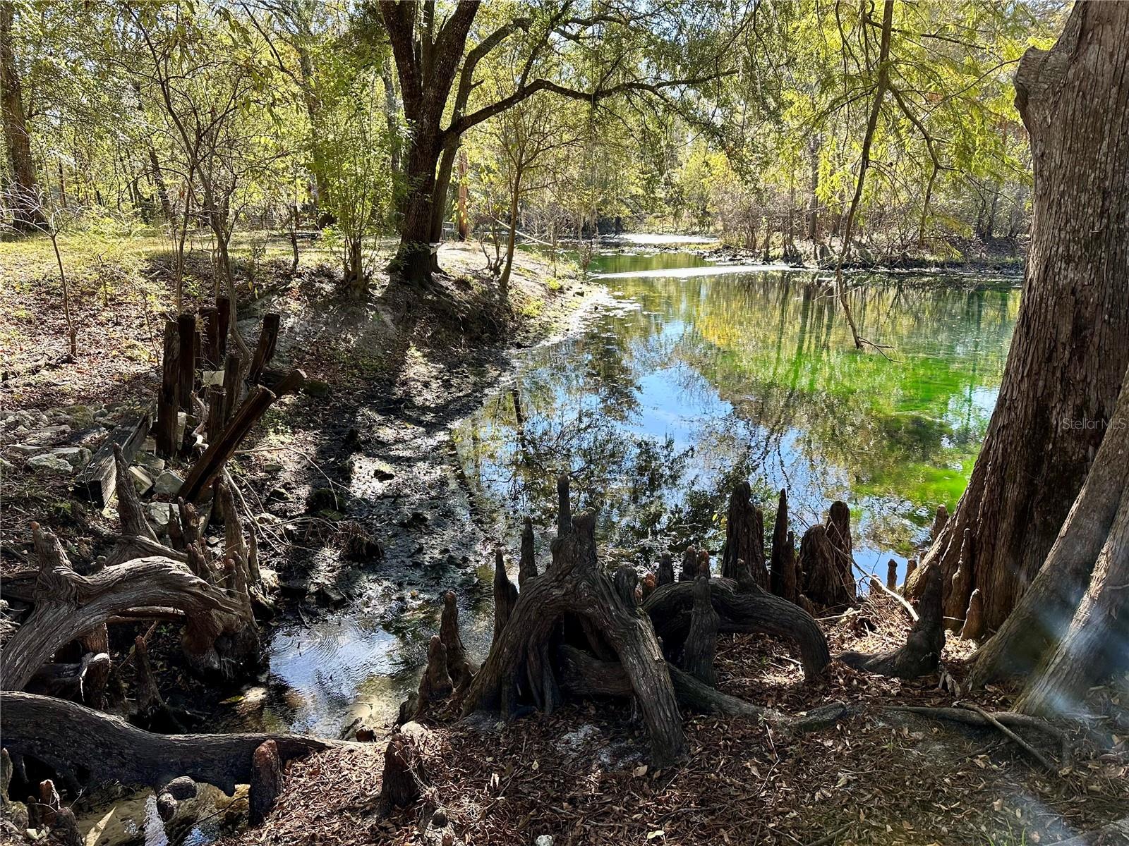 Image 45 of 51 For 9240 Carolina Way