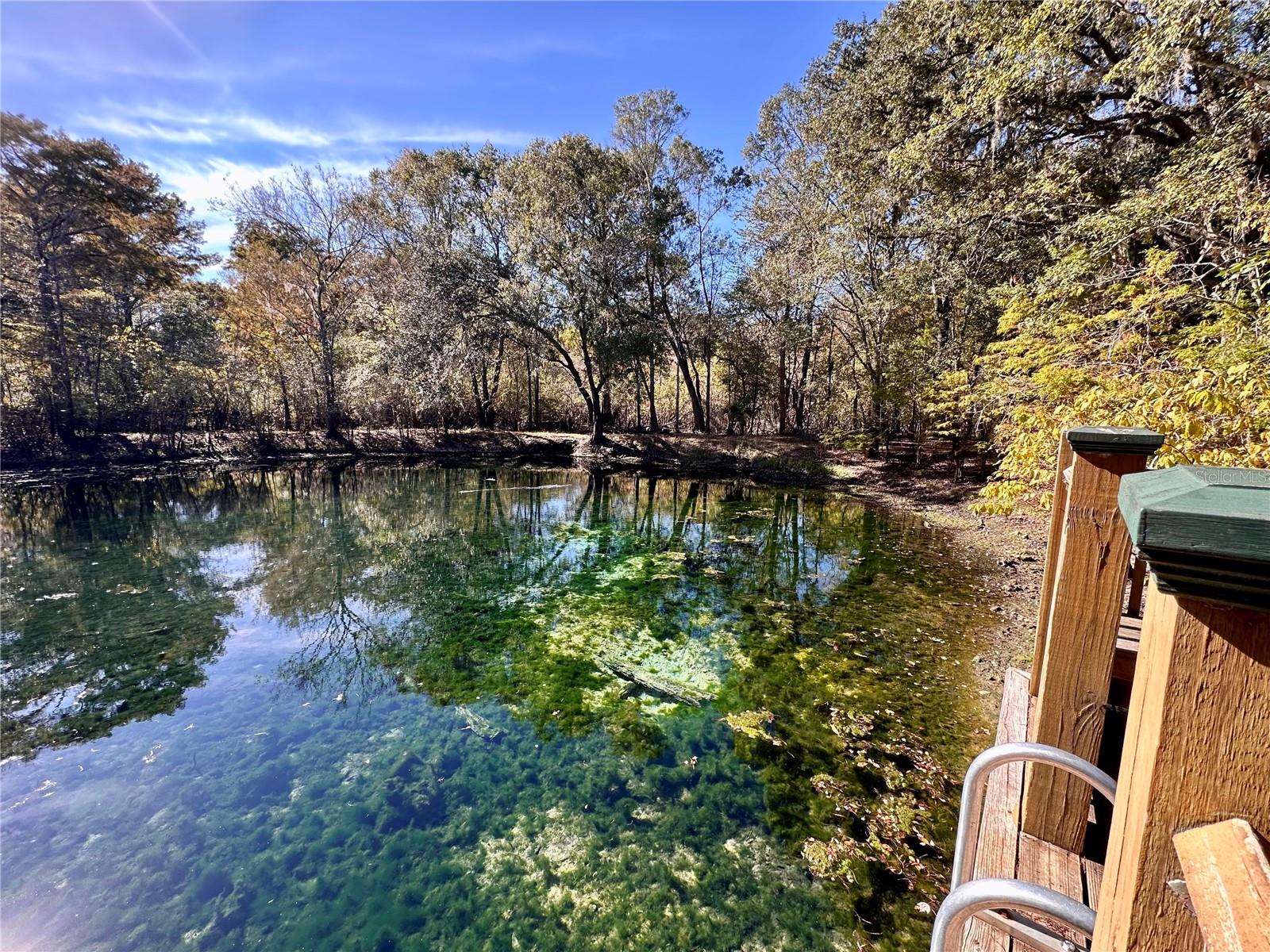 Image 46 of 51 For 9240 Carolina Way