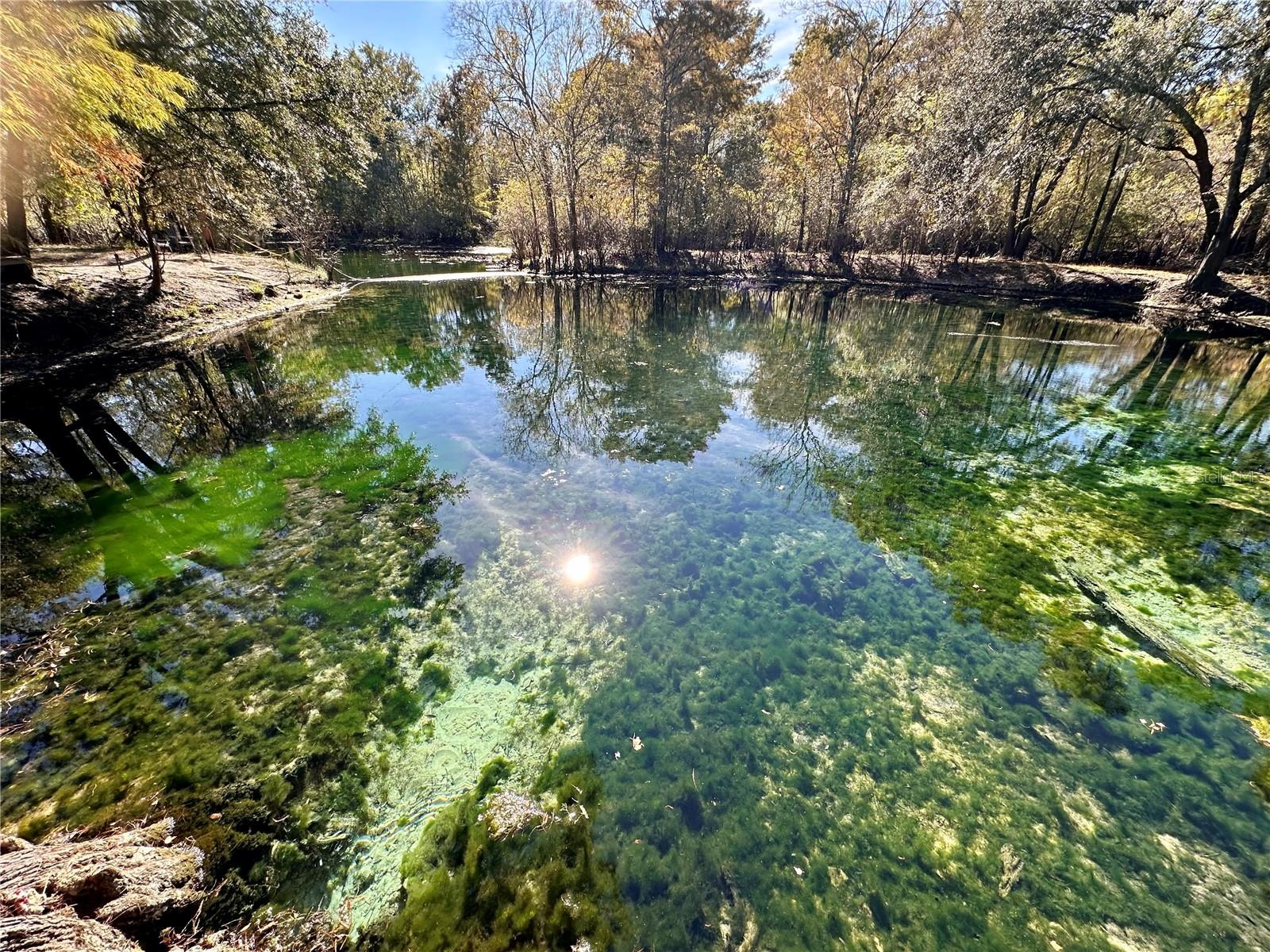 Image 47 of 51 For 9240 Carolina Way