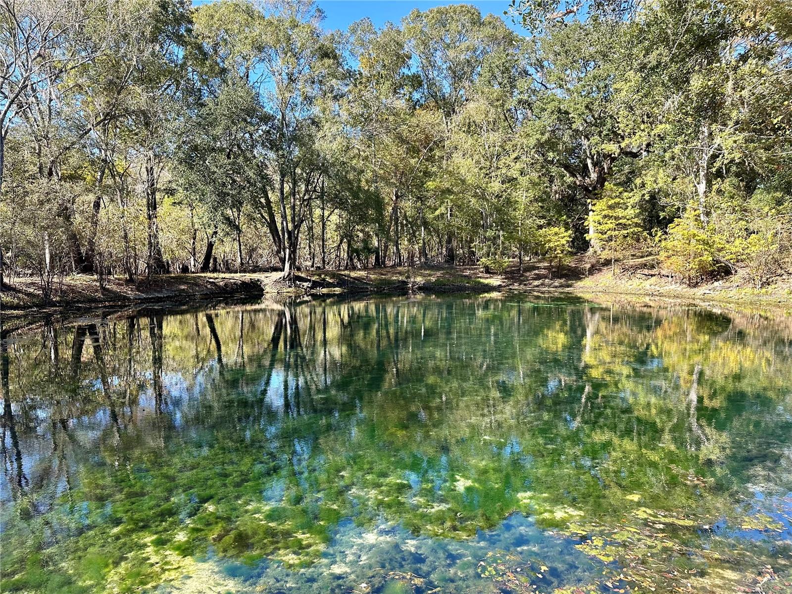 Image 49 of 51 For 9240 Carolina Way