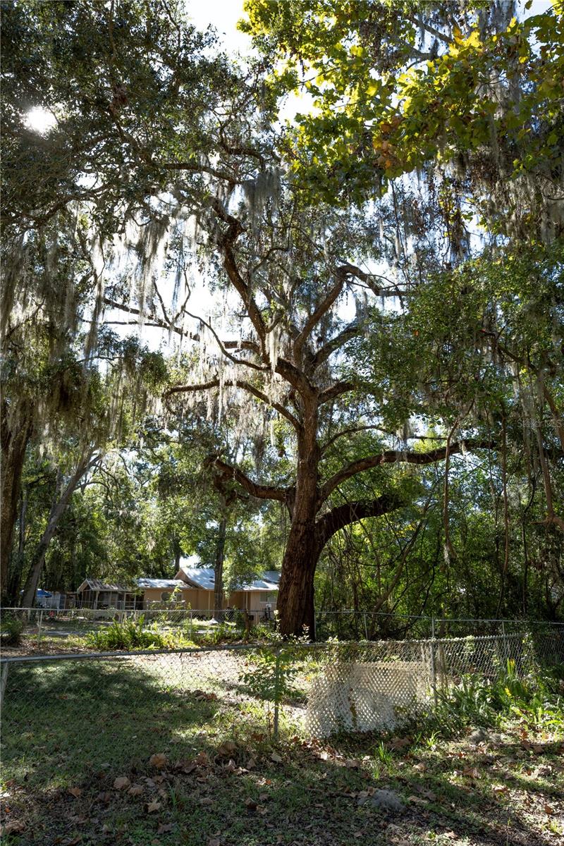 Image 41 of 42 For 429 1st Avenue