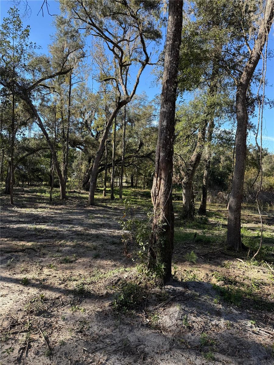 Image 4 of 7 For  7th Place  