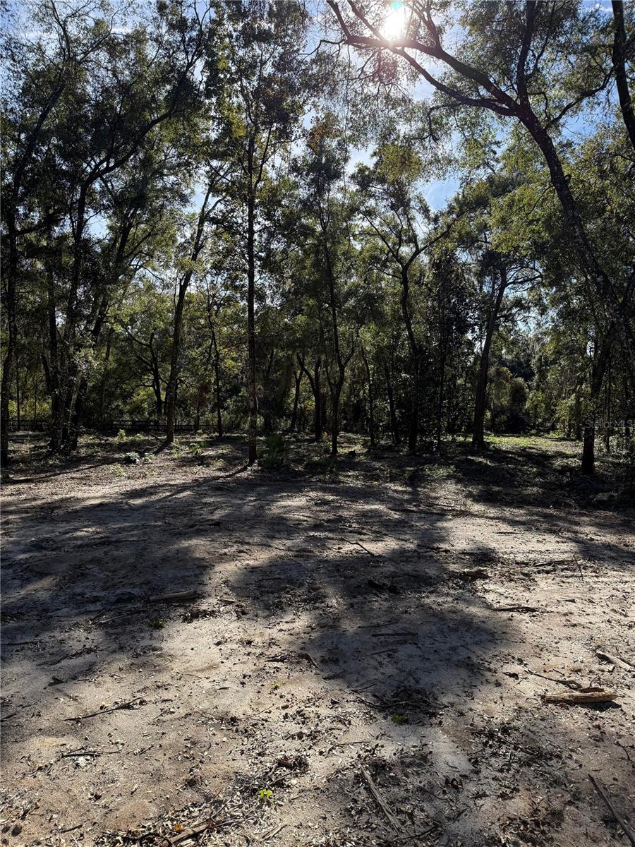 Image 5 of 7 For  7th Place  