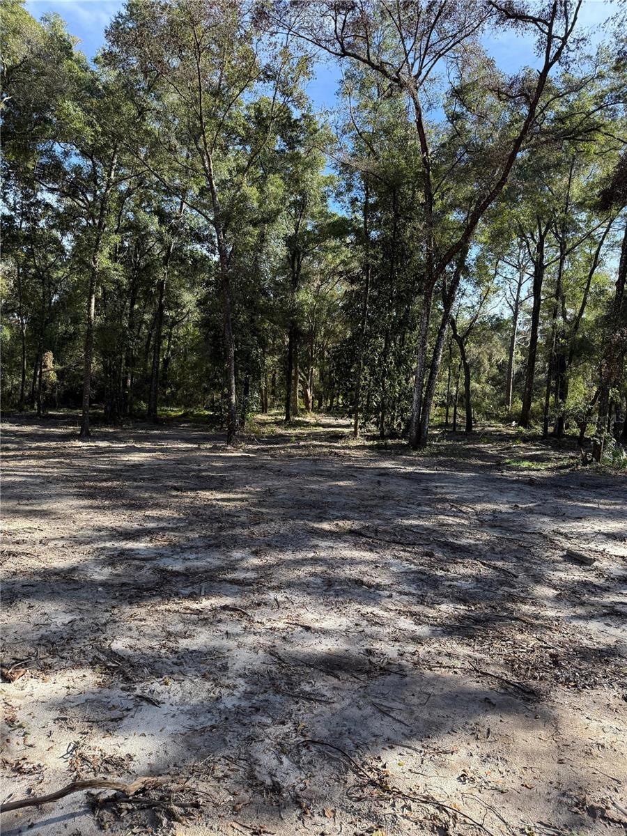 Image 6 of 7 For  7th Place  