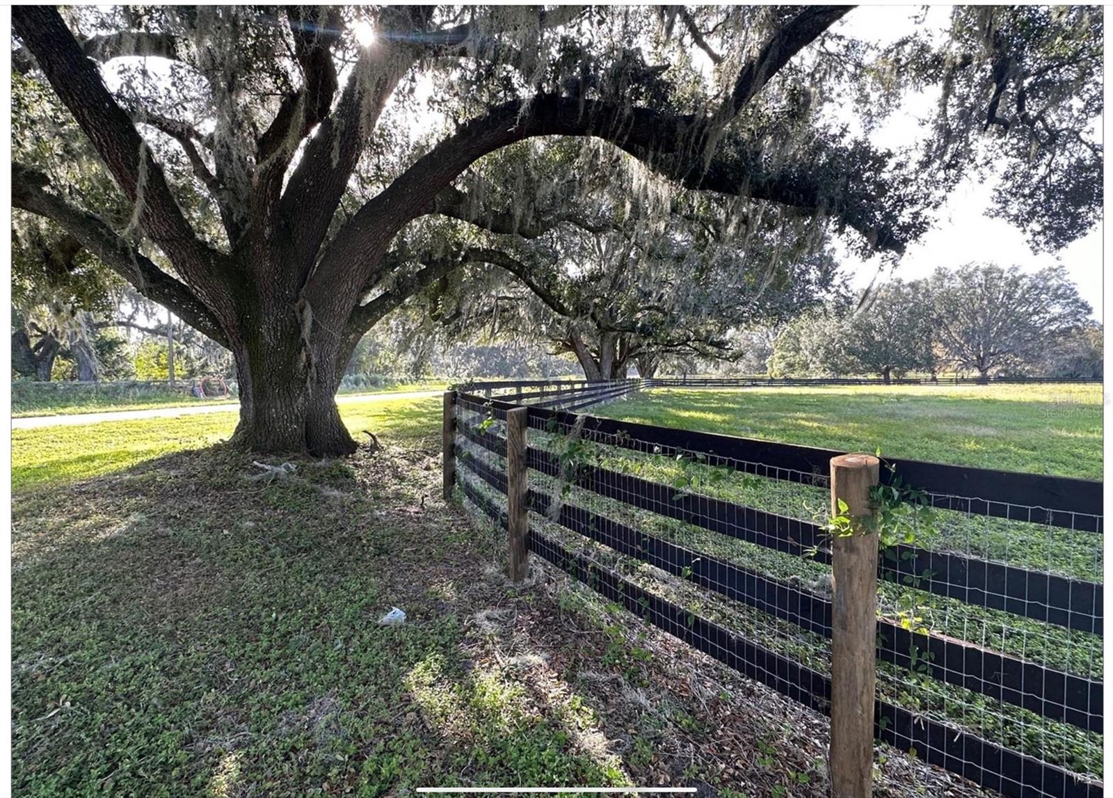 Image 17 of 23 For 9001 Highway 316