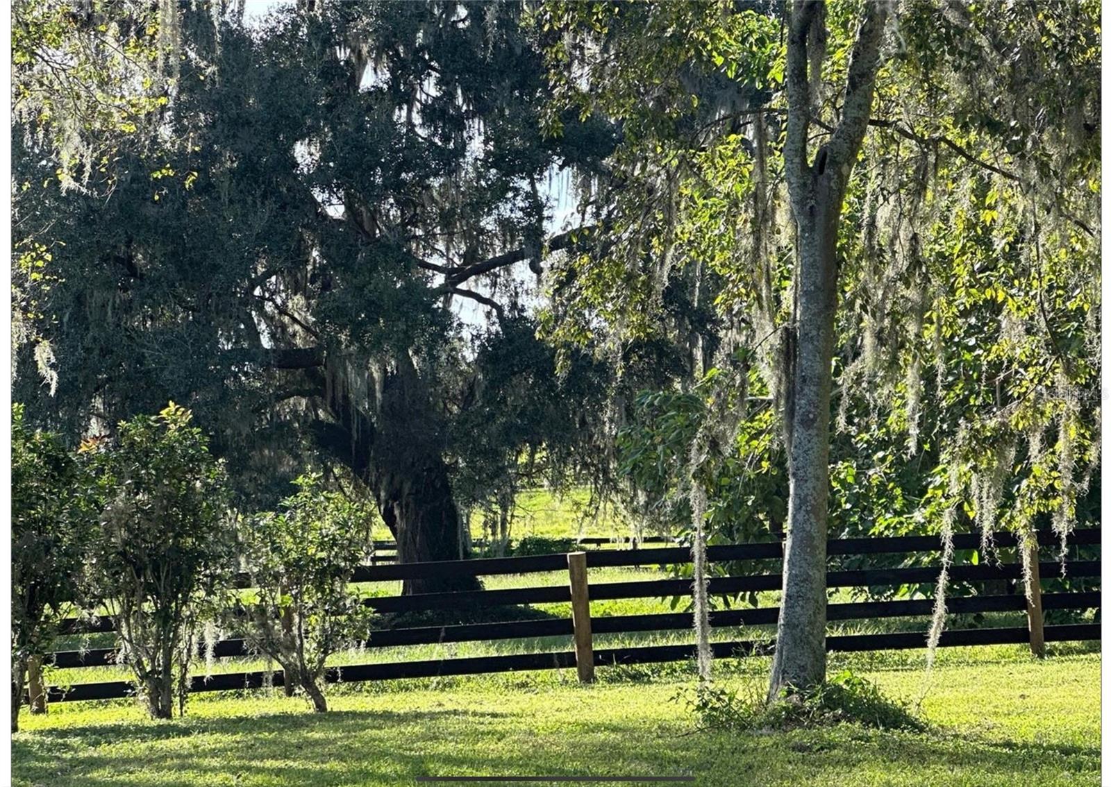 Image 22 of 23 For 9001 Highway 316