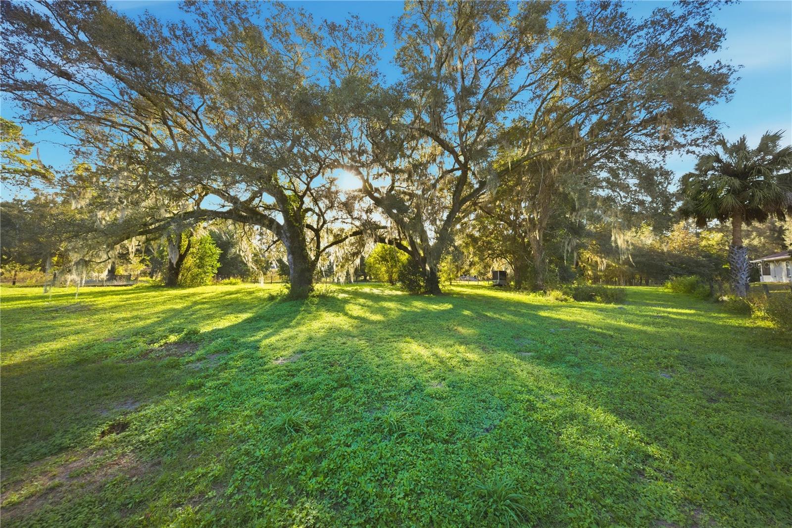 Image 7 of 41 For 13785 8th Court