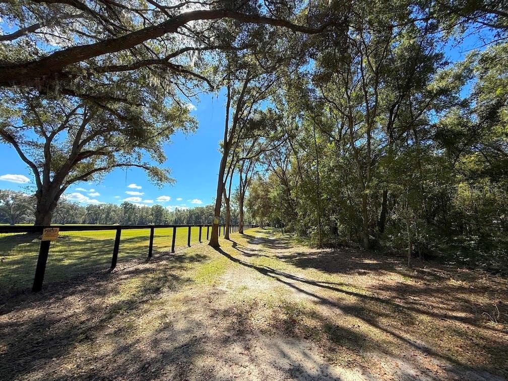 Image 10 of 24 For 14655 117th Court