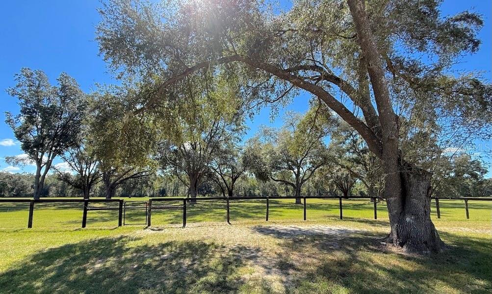 Image 12 of 24 For 14655 117th Court