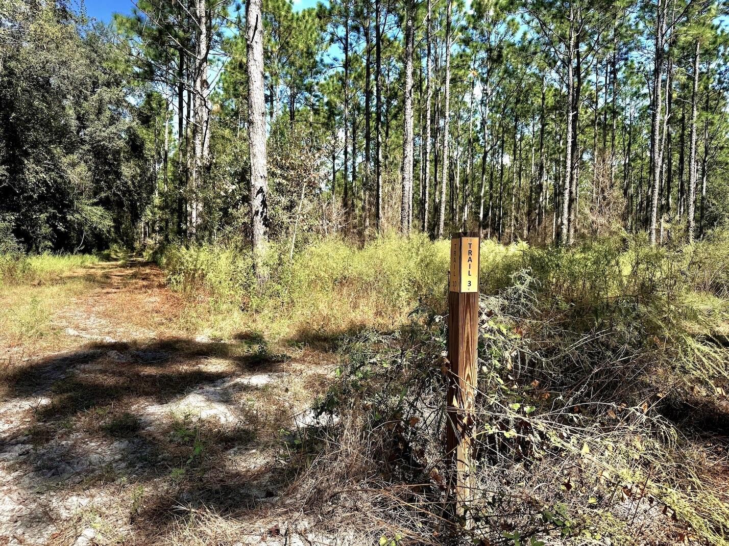 Image 13 of 24 For 14655 117th Court