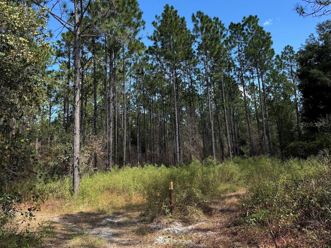 Image 14 of 24 For 14655 117th Court