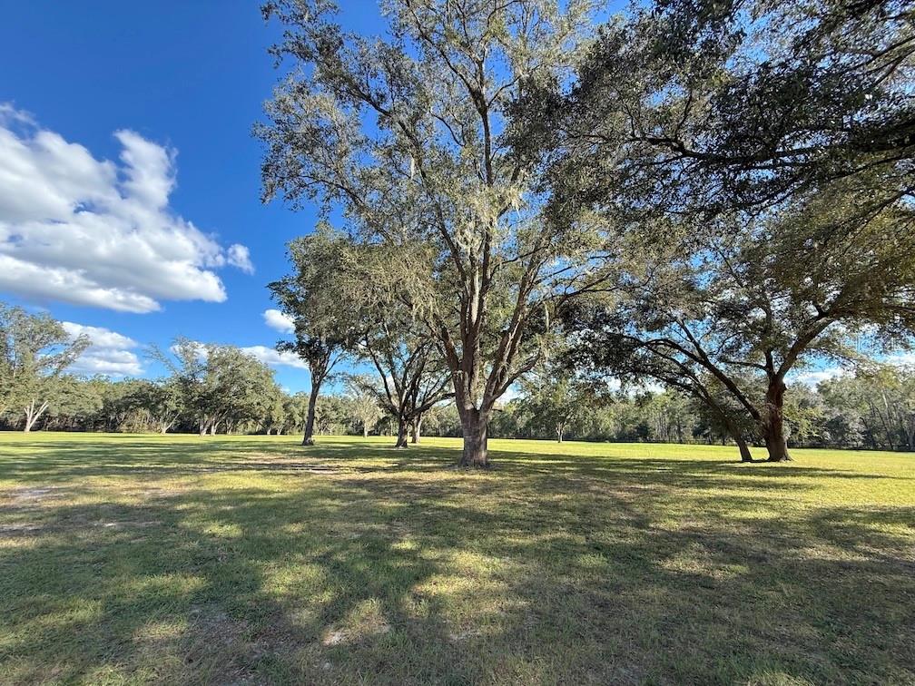 Image 16 of 24 For 14655 117th Court