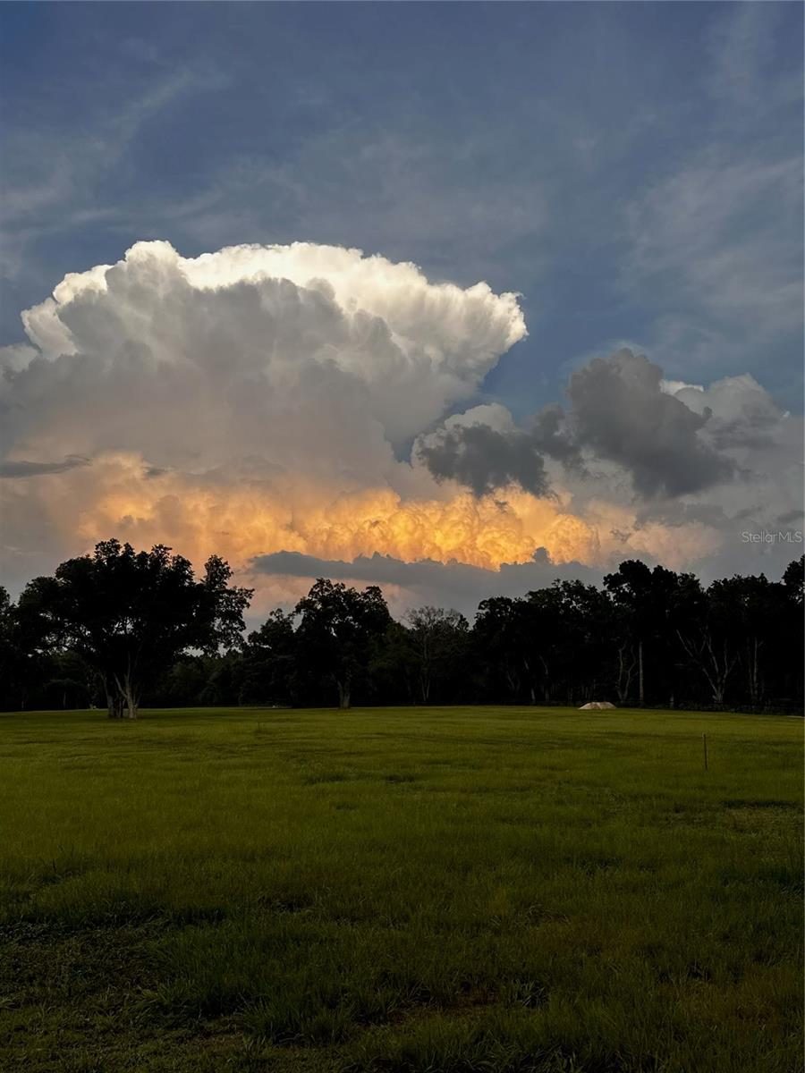 Image 24 of 24 For 14655 117th Court