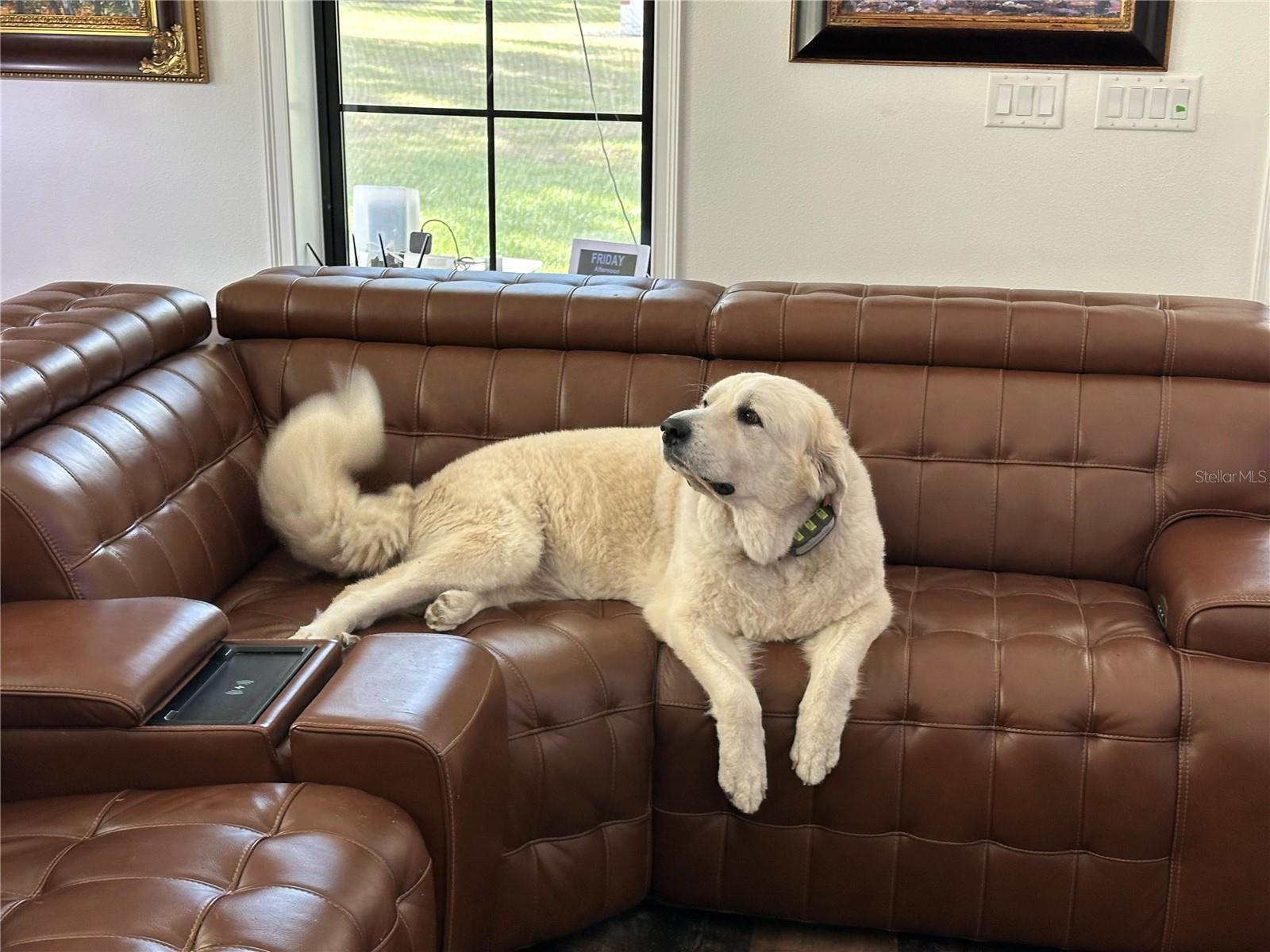 Image 4 of 24 For 14655 117th Court