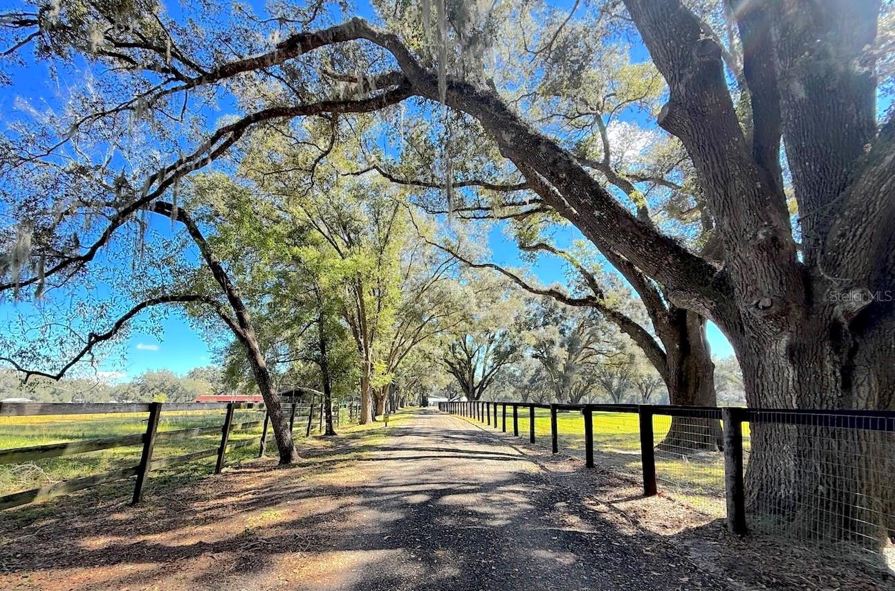 Image 9 of 24 For 14655 117th Court