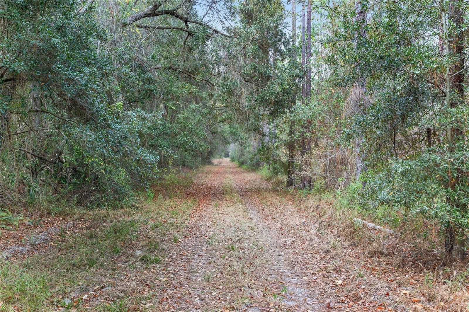 Image 90 of 90 For 14655 117th Court