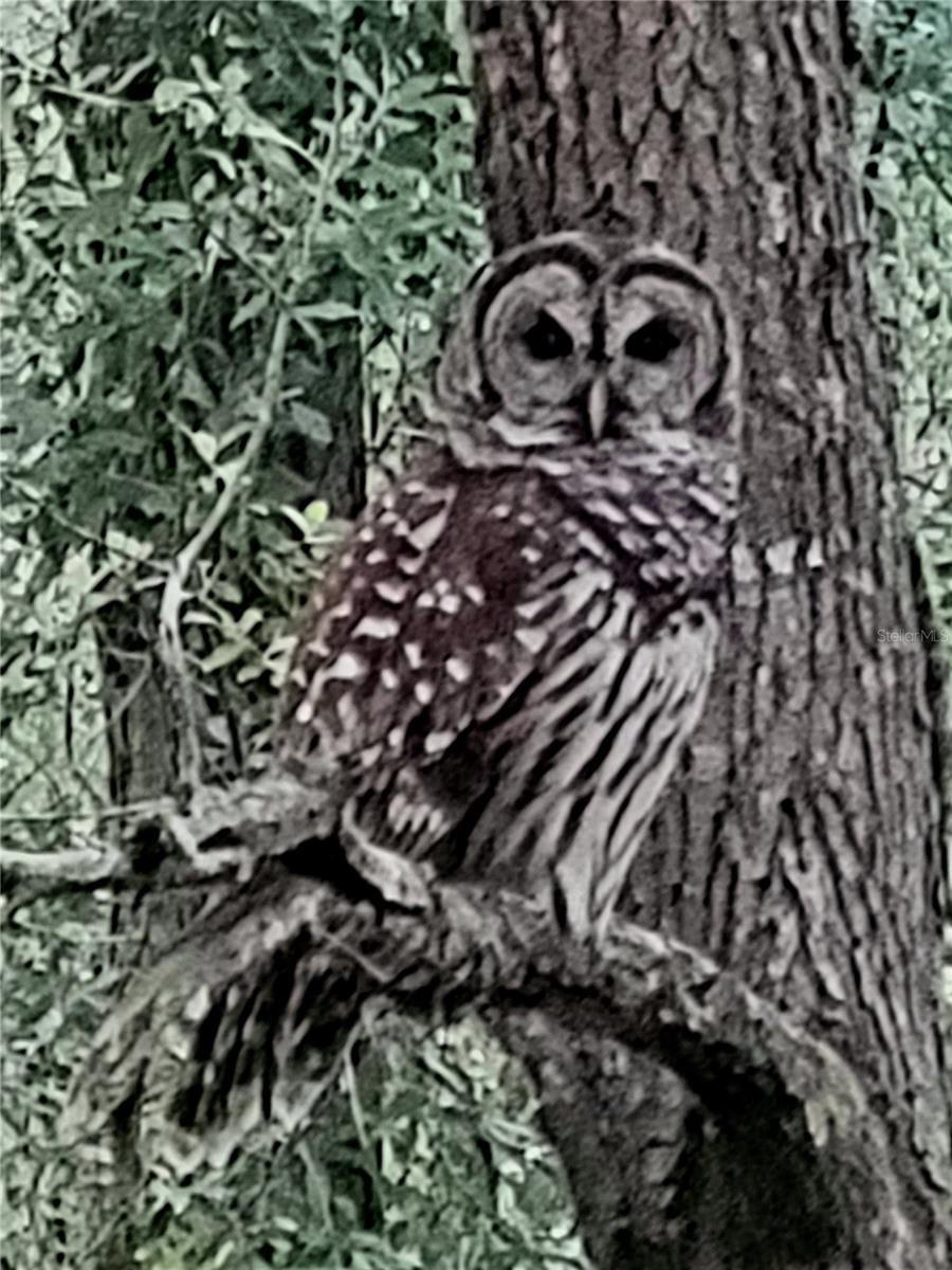 Image 82 of 83 For 11283 139th Place