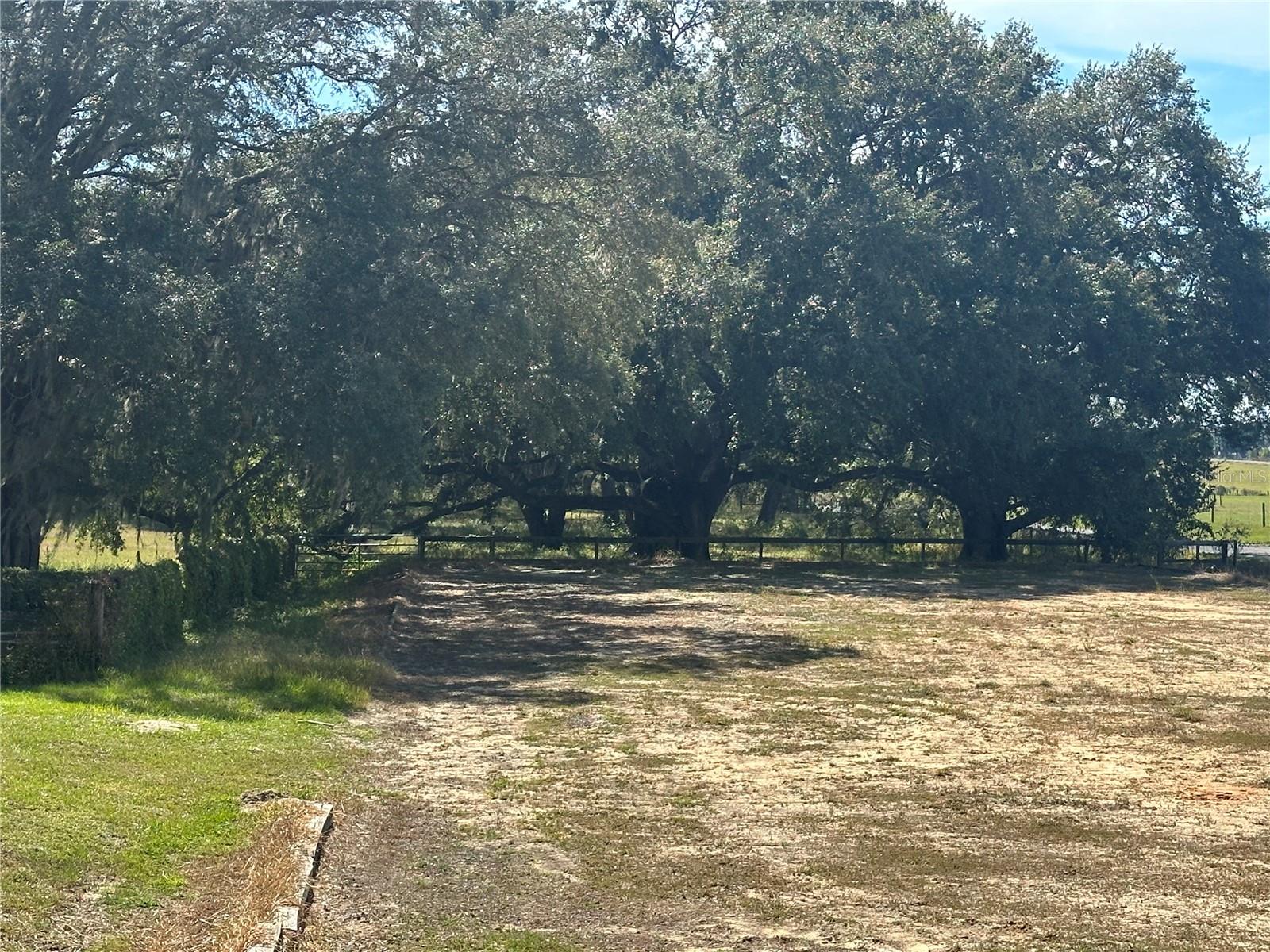 Image 17 of 74 For 36203 Micro Racetrack Road