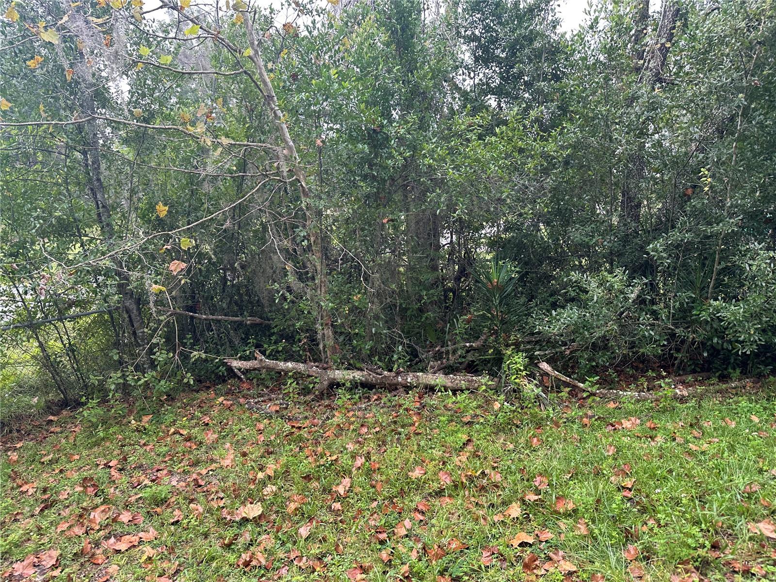 Image 4 of 6 For 2713 Adams Street W