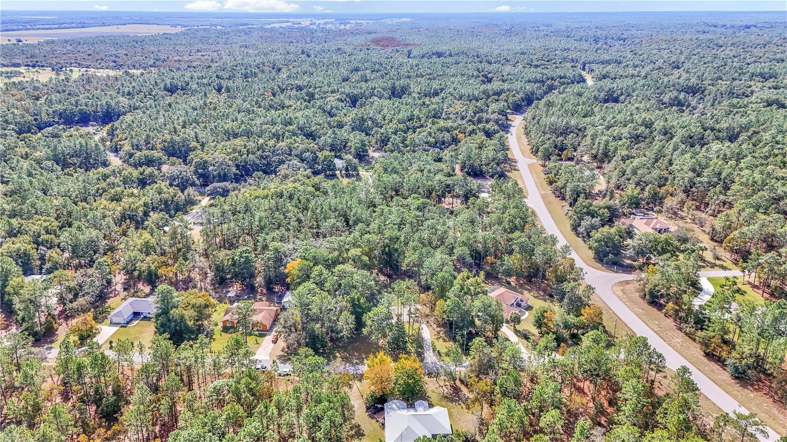 Image 45 of 55 For 18012 68 Loop