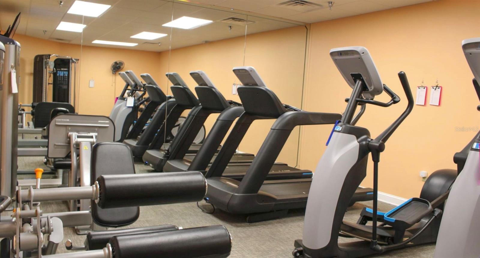 Image 54 of 55 For 18012 68 Loop