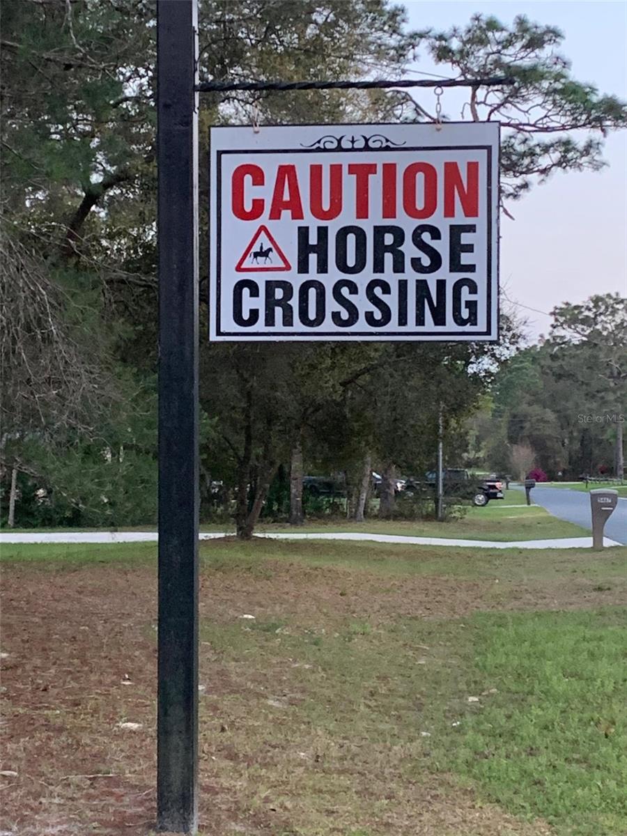 Listing photo id 4 for 5085 Princewood Drive