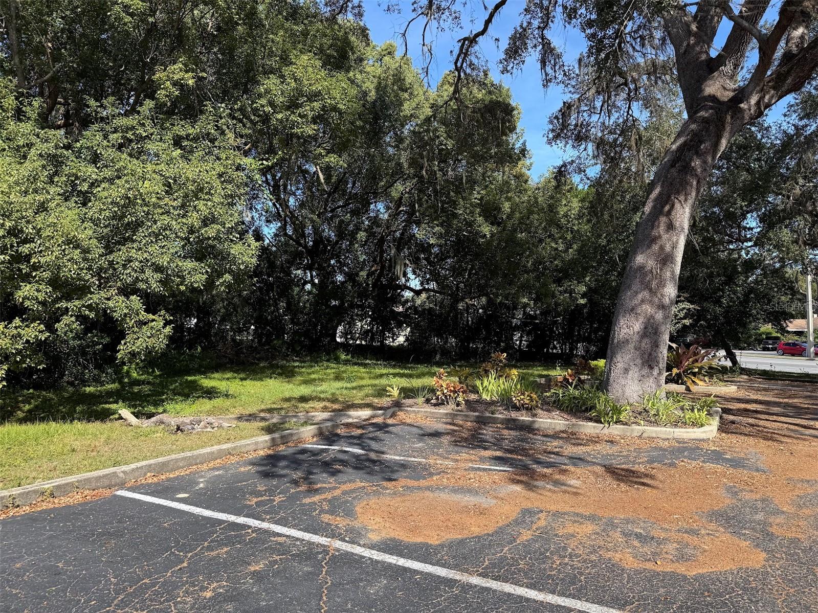 Image 19 of 21 For 202 8th Avenue